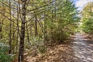 8776 Hwy 2, Epworth, GA 30541 - Photo 53