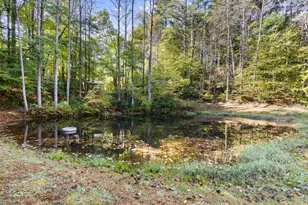 8776 Hwy 2, Epworth, GA 30541 - Photo 55