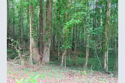 Lot 6 Pettit Road, Jasper, GA 30143 - Photo 15