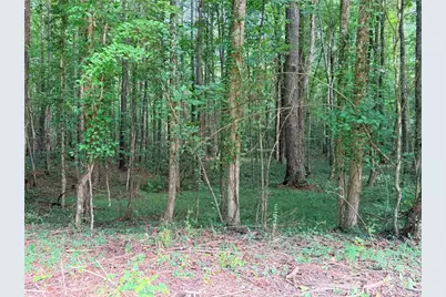 Lot 6 Pettit Road, Jasper, GA 30143 - Photo 13