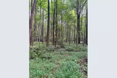 Lot 4 Pettit Road, Jasper, GA 30143 - Photo 5