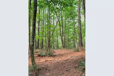 Lot 4 Pettit Road, Jasper, GA 30143 - Photo 9