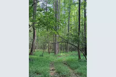 Lot 4 Pettit Road, Jasper, GA 30143 - Photo 7