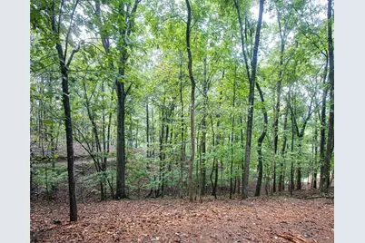 480 Pin Hook Road, Ranger, GA 30734 - Photo 3