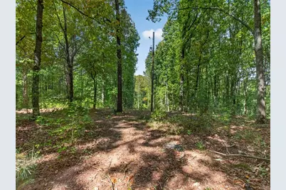 72 Dove Pl / Hwy 53, Dawsonville, GA 30534 - Photo 7