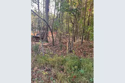 0 Jarrett Lane, Gillsville, GA 30543 - Photo 5