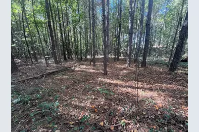 0 Jarrett Lane, Gillsville, GA 30543 - Photo 7