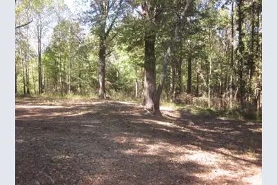 312 Mansfield Road NE, White, GA 30184 - Photo 35