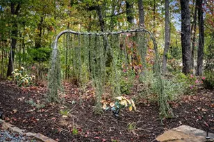 194 Cox Rd, Blue Ridge, GA 30513 - Photo 7