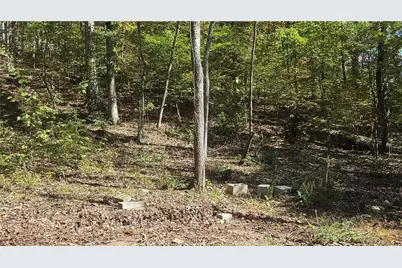 0 Shady Grove Church, Talking Rock, GA 30175 - Photo 5