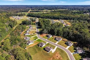 227 Finch Ct, Winder, GA 30680 - Photo 33
