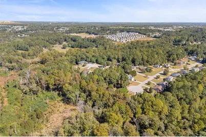 1195 Otis Drive, Bethlehem, GA 30620 - Photo 19