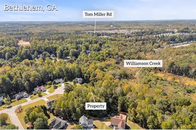 1195 Otis Drive, Bethlehem, GA 30620 - Photo 13