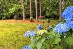 1626 Wildwood Rd, Marietta, GA 30062 - Photo 37