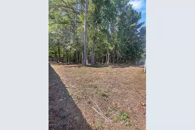 90 Riverside Drive, Sharpsburg, GA 30277 - Photo 21