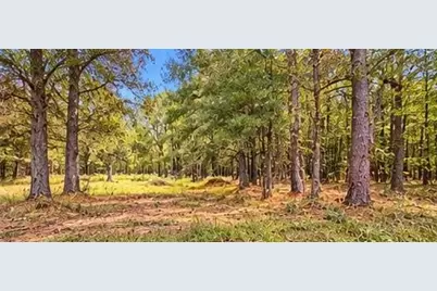 956 Plainville Road NE, Plainville, GA 30733 - Photo 7