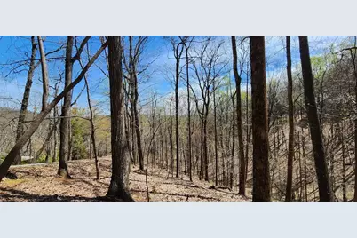 7078 Wild Azalea Circle, Big Canoe, GA 30143 - Photo 31