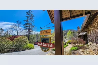 7078 Wild Azalea Circle, Big Canoe, GA 30143 - Photo 63