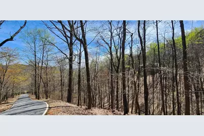 7078 Wild Azalea Circle, Big Canoe, GA 30143 - Photo 29