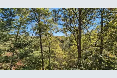 1575 Riverview Drive, Ellijay, GA 30540 - Photo 3