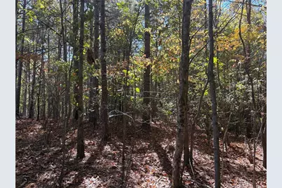 1515 Old Ridgeway Road, Bremen, GA 30110 - Photo 13