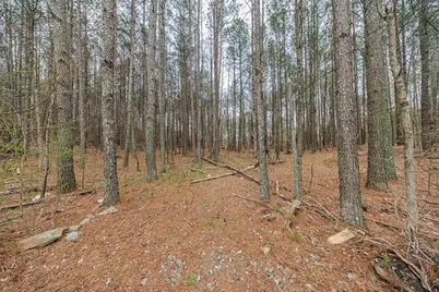 13640 Chadwick Farm Boulevard, Milton, GA 30075 - Photo 3