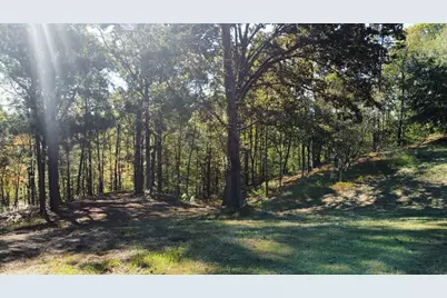 455 Roy Brown Road, Buchanan, GA 30113 - Photo 101
