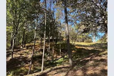 455 Roy Brown Road, Buchanan, GA 30113 - Photo 107