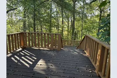 455 Roy Brown Road, Buchanan, GA 30113 - Photo 61