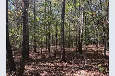 1585 Old Ridgeway Road, Bremen, GA 30110 - Photo 7