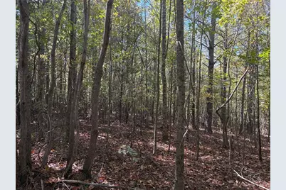 1585 Old Ridgeway Road, Bremen, GA 30110 - Photo 11