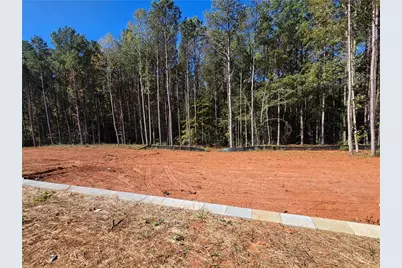 335 Meadows Drive, Bethlehem, GA 30620 - Photo 33