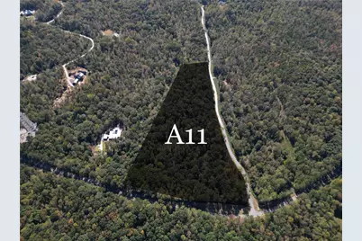 11300 Hutcheson Ferry Road, Chattahoochee Hills, GA 30268 - Photo 1