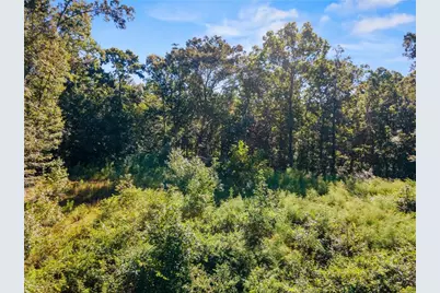 11300 Hutcheson Ferry Road, Chattahoochee Hills, GA 30268 - Photo 3