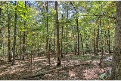 [Address not provided], Waleska, GA 30183 - Photo 35