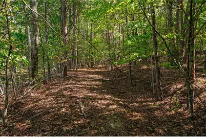 0 Wax Road SE, Aragon, GA 30104 - Photo 9