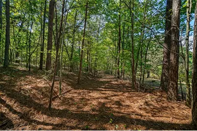 0 Wax Road SE, Aragon, GA 30104 - Photo 7