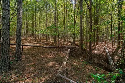 0 Wax Road SE, Aragon, GA 30104 - Photo 11