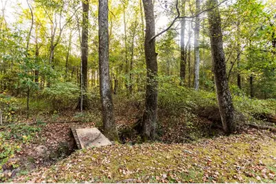 1183 Lavista Drive, Monroe, GA 30655 - Photo 29