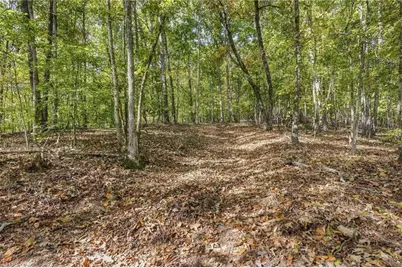 3627 Westmoreland Road, Cleveland, GA 30528 - Photo 5