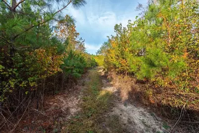 0 Bremen Mt Zion Road, Waco, GA 30182 - Photo 5