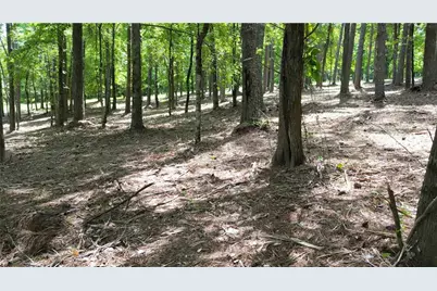 14890 Freemanville (North Lot) Road, Milton, GA 30004 - Photo 1