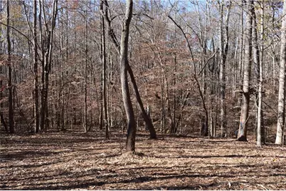 391 Marvin Land Lane, Canton, GA 30115 - Photo 1