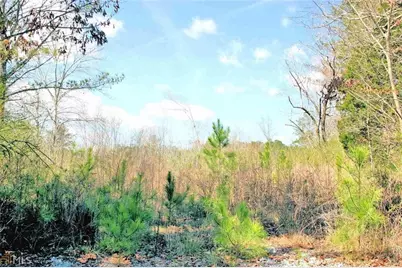 141 Bethlehem Church Road, Carrollton, GA 30117 - Photo 1