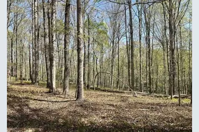 0 Cabin Lake Rd, Cleveland, GA 30528 - Photo 1