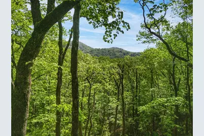 45 Amy Creek Drive, Ellijay, GA 30540 - Photo 1