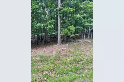 133 Pawnee Street, Waleska, GA 30183 - Photo 1