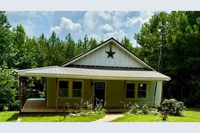 1061 Frances White Road, Buchanan, GA 30113 - Photo 1