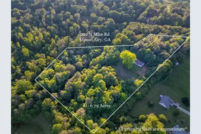 222 N Mize Road, Mount Airy, GA 30563 - Photo 1