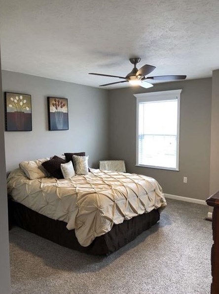 607 Freedom Dr, Collier Township PA  15106-1598 exterior